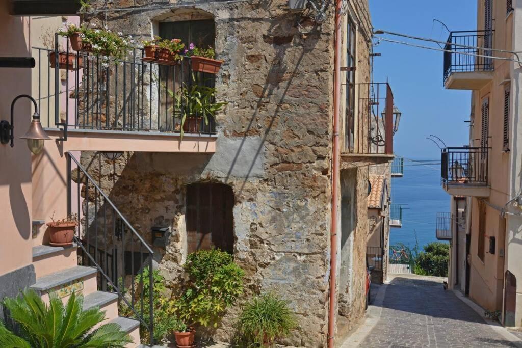 דירות סנט'אמברוג'יו Terrazza Ambrogio מראה חיצוני תמונה